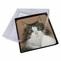4x Tabby and White Cat Picture Table Coasters Set in Gift Box