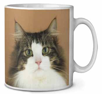 Tabby and White Cat Ceramic 10oz Coffee Mug/Tea Cup