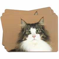 Tabby and White Cat Picture Placemats in Gift Box