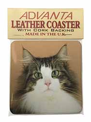 Tabby and White Cat Single Leather Photo Coaster