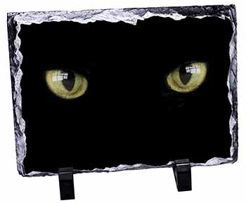 Black Cats Night Eyes, Stunning Photo Slate