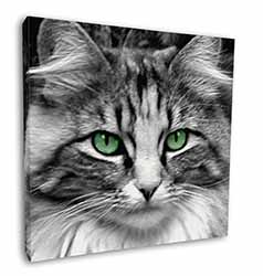 Gorgeous Green Eyes Cat Square Canvas 12"x12" Wall Art Picture Print