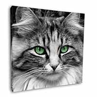 Gorgeous Green Eyes Cat Square Canvas 12"x12" Wall Art Picture Print