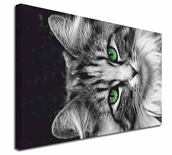 Gorgeous Green Eyes Cat Canvas X-Large 30"x20" Wall Art Print