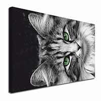Gorgeous Green Eyes Cat Canvas X-Large 30"x20" Wall Art Print
