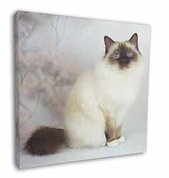 Birman Cat Square Canvas 12"x12" Wall Art Picture Print