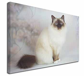 Birman Cat Canvas X-Large 30"x20" Wall Art Print