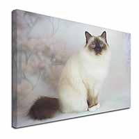 Birman Cat Canvas X-Large 30"x20" Wall Art Print