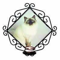 Birman Cat Wrought Iron Wall Art Candle Holder