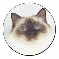 Birman Cat Fridge Magnet Printed Full Colour