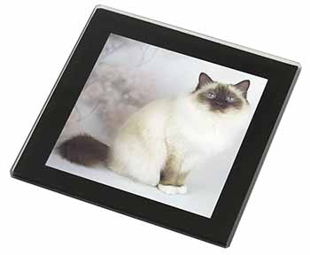 Birman Cat Black Rim High Quality Glass Coaster