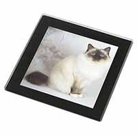 Birman Cat Black Rim High Quality Glass Coaster