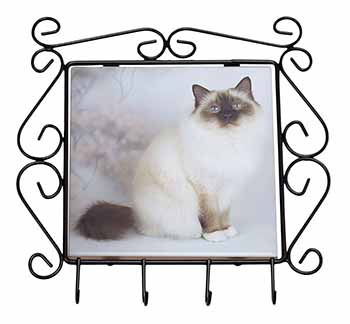 Birman Cat Wrought Iron Key Holder Hooks