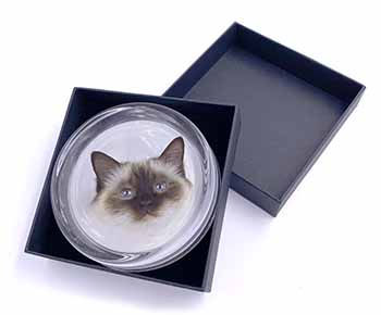 Birman Cat Glass Paperweight in Gift Box