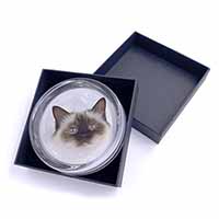 Birman Cat Glass Paperweight in Gift Box