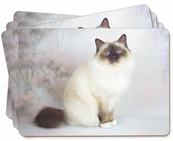 Birman Cat Picture Placemats in Gift Box