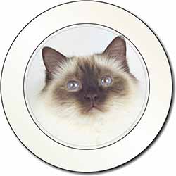 Birman Cat Car or Van Permit Holder/Tax Disc Holder