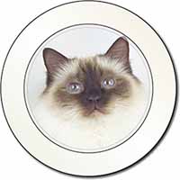 Birman Cat Car or Van Permit Holder/Tax Disc Holder