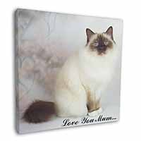 Birman Cat 