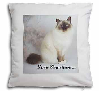 Birman Cat 