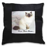 Birman Cat 