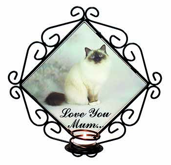 Birman Cat 