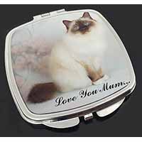 Birman Cat 