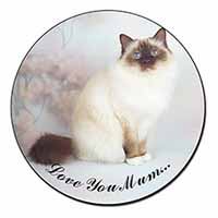 Birman Cat 