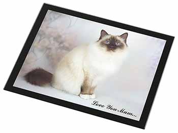 Birman Cat 