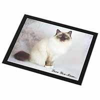 Birman Cat 