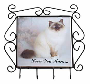 Birman Cat 