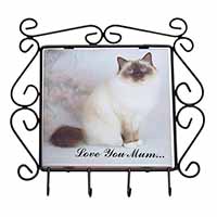 Birman Cat 