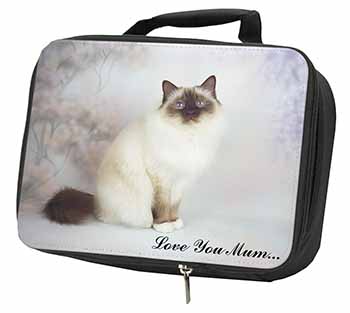 Birman Cat 