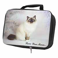 Birman Cat 