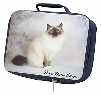 Birman Cat 