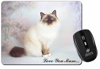 Birman Cat 