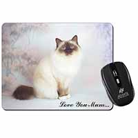 Birman Cat 