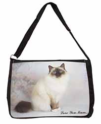 Birman Cat 