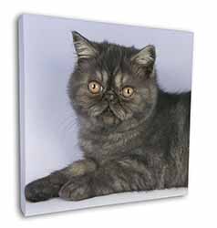 Exotic Smoke Cat Square Canvas 12"x12" Wall Art Picture Print
