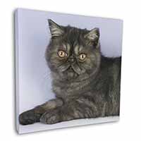 Exotic Smoke Cat Square Canvas 12"x12" Wall Art Picture Print