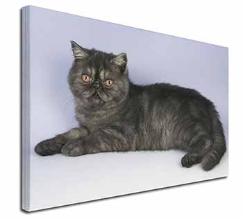 Exotic Smoke Cat Canvas X-Large 30"x20" Wall Art Print