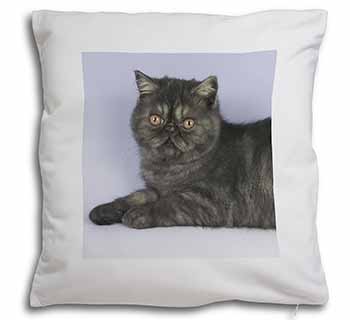 Exotic Smoke Cat Soft White Velvet Feel Scatter Cushion