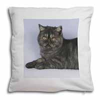 Exotic Smoke Cat Soft White Velvet Feel Scatter Cushion