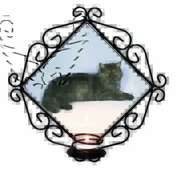 Exotic Smoke Cat Wrought Iron Wall Art Candle Holder