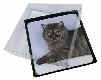 4x Exotic Smoke Cat Picture Table Coasters Set in Gift Box