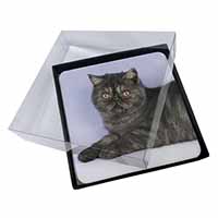 4x Exotic Smoke Cat Picture Table Coasters Set in Gift Box