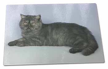 Large Glass Cutting Chopping Board Exotic Smoke Cat