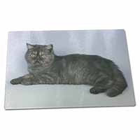 Large Glass Cutting Chopping Board Exotic Smoke Cat