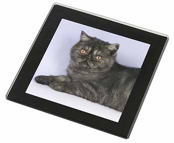 Exotic Smoke Cat Black Rim High Quality Glass Coaster