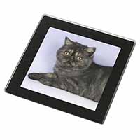 Exotic Smoke Cat Black Rim High Quality Glass Coaster